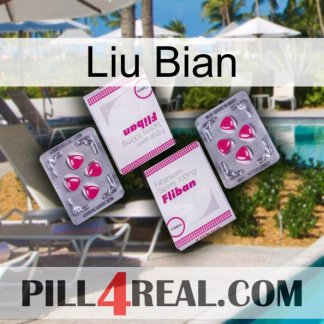 Liu Bian 33